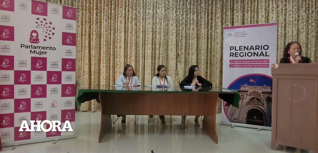 Parlamento Mujer 2023: Rechazan planteamiento de Ley de Elizabeth Medina