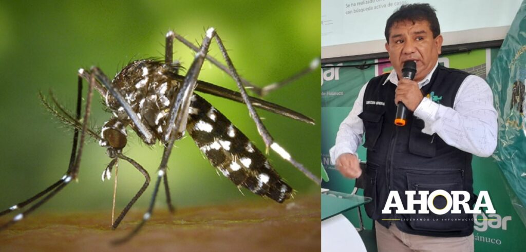 Jefe de Diresa, Rollin Cruz: “Huánuco puede convertirse en una zona endémica del dengue”