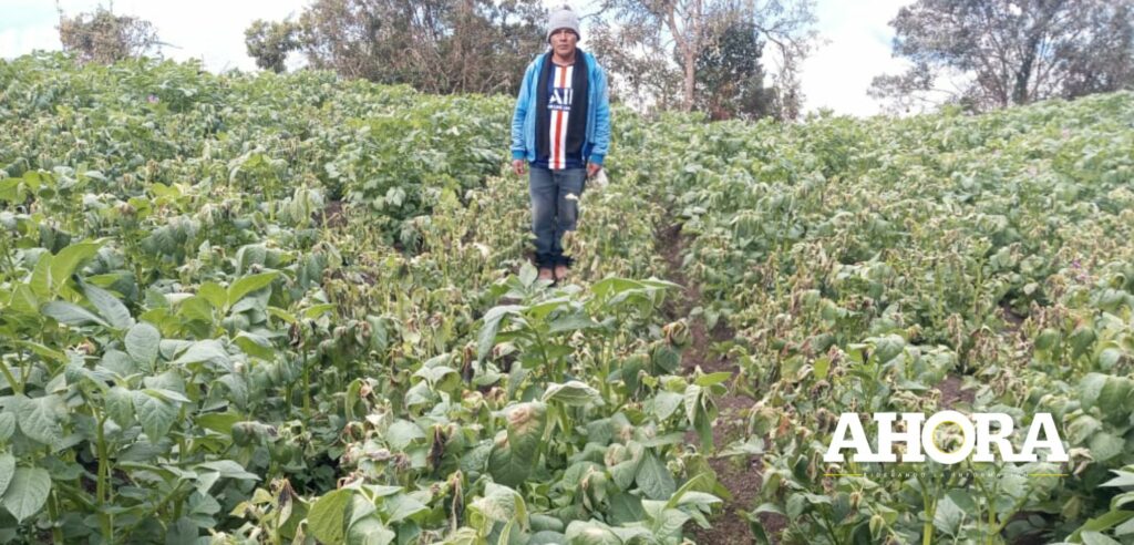 Gorehco: Capacitan a funcionarios para atender a familias damnificadas por heladas