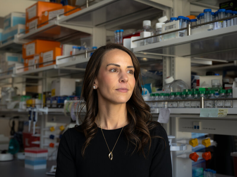 Adolescentes Ansiedad Climatica Minnesota