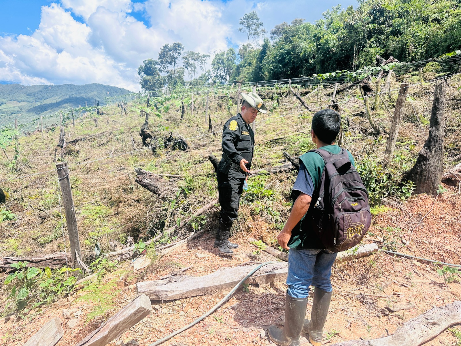 Arrasan Con 3 5 Hectareas De Bosque En El Acr Carpish Alertan Avance Del Trafico De Tierras