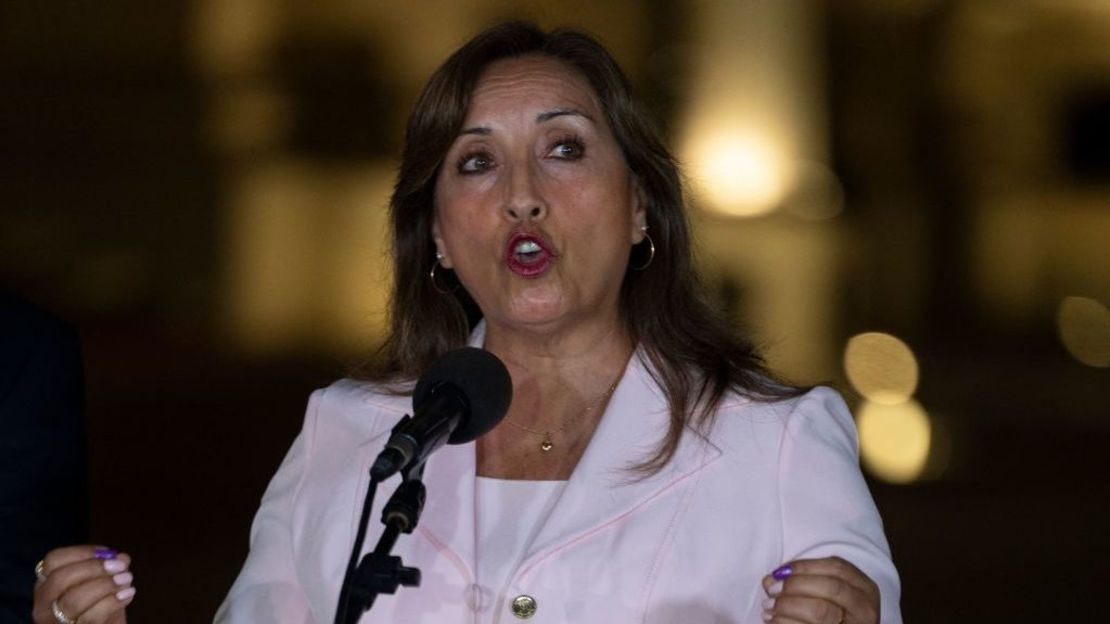 Dina Boluarte Embajadores Politicos