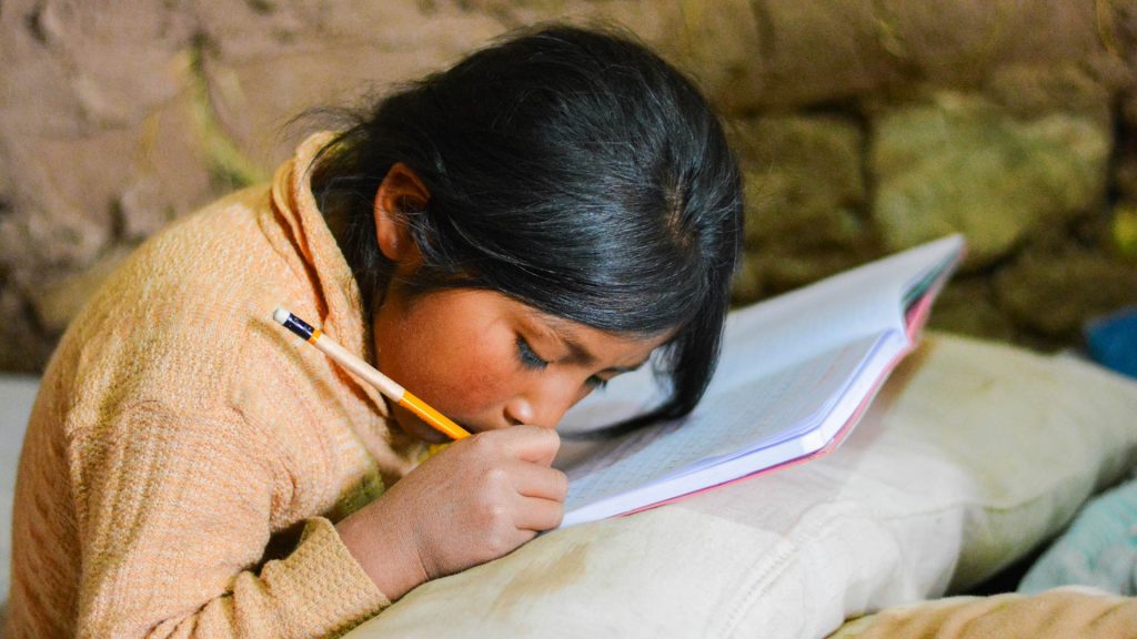 Peru Calidad Educacion