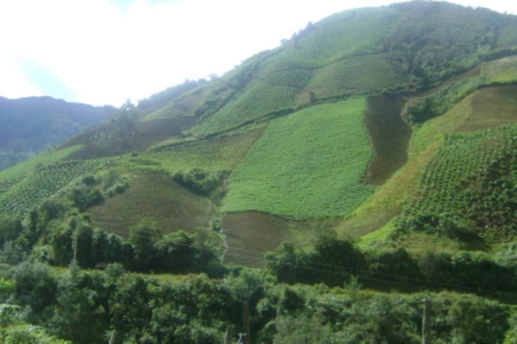 Rechazan Decision Del Serfor Que Frena Creacion De Tres Areas De Conservacion Regional