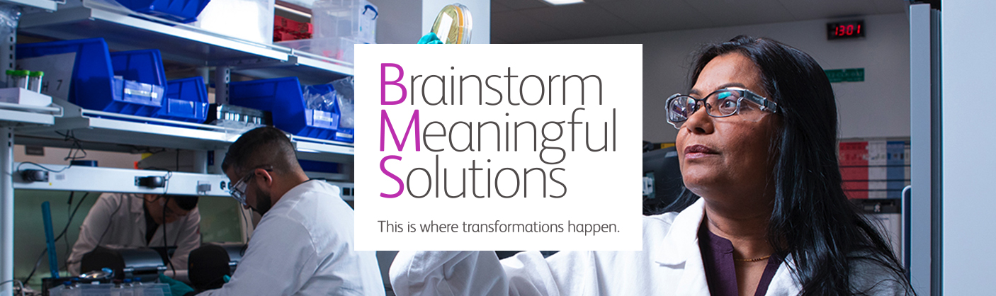 Ripley Corp Desempeno