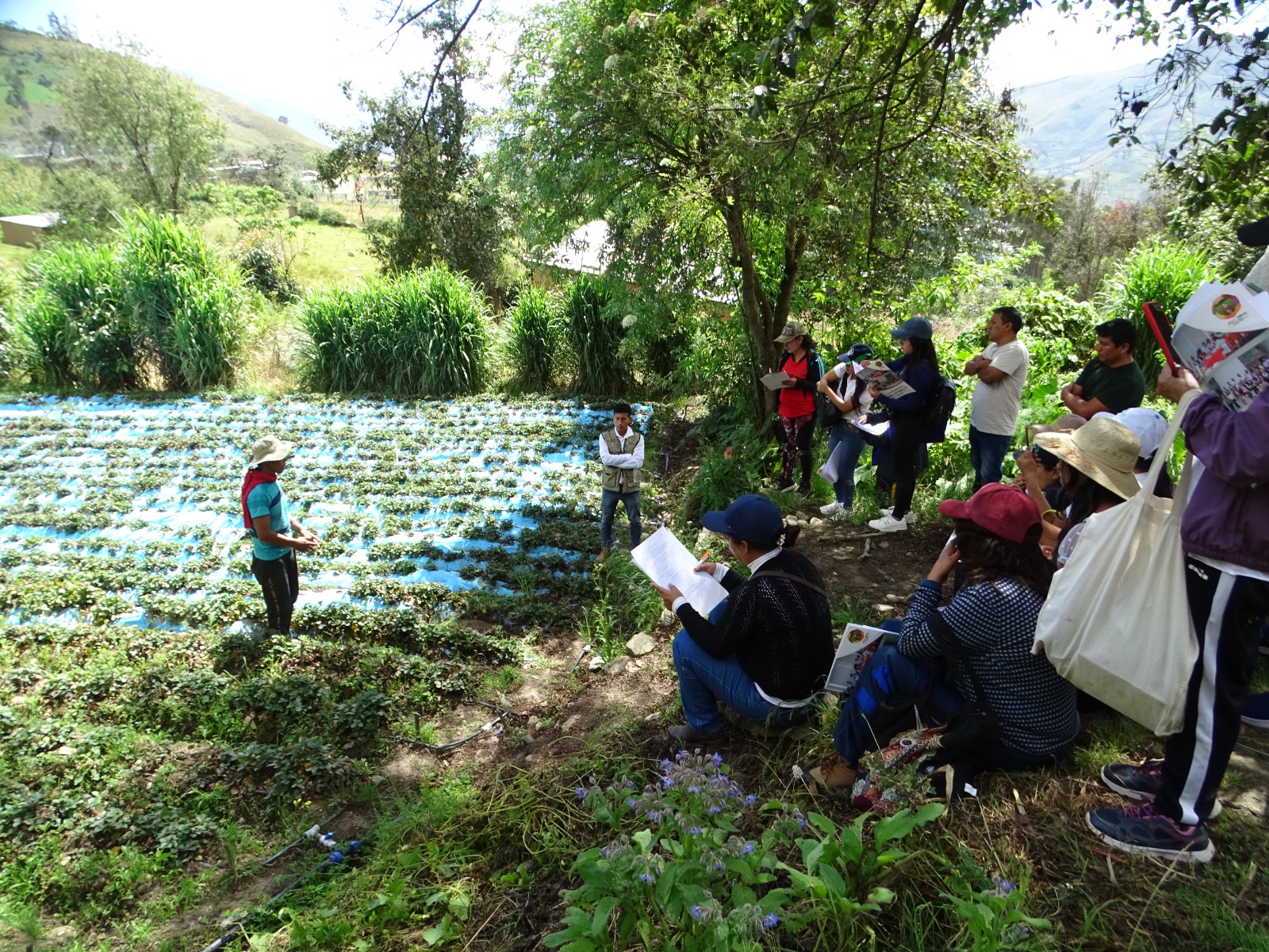 Ugel Huanuco Impulsa Biohuertos Escolares Y Laboratorios Comunitarios En Mancapozo