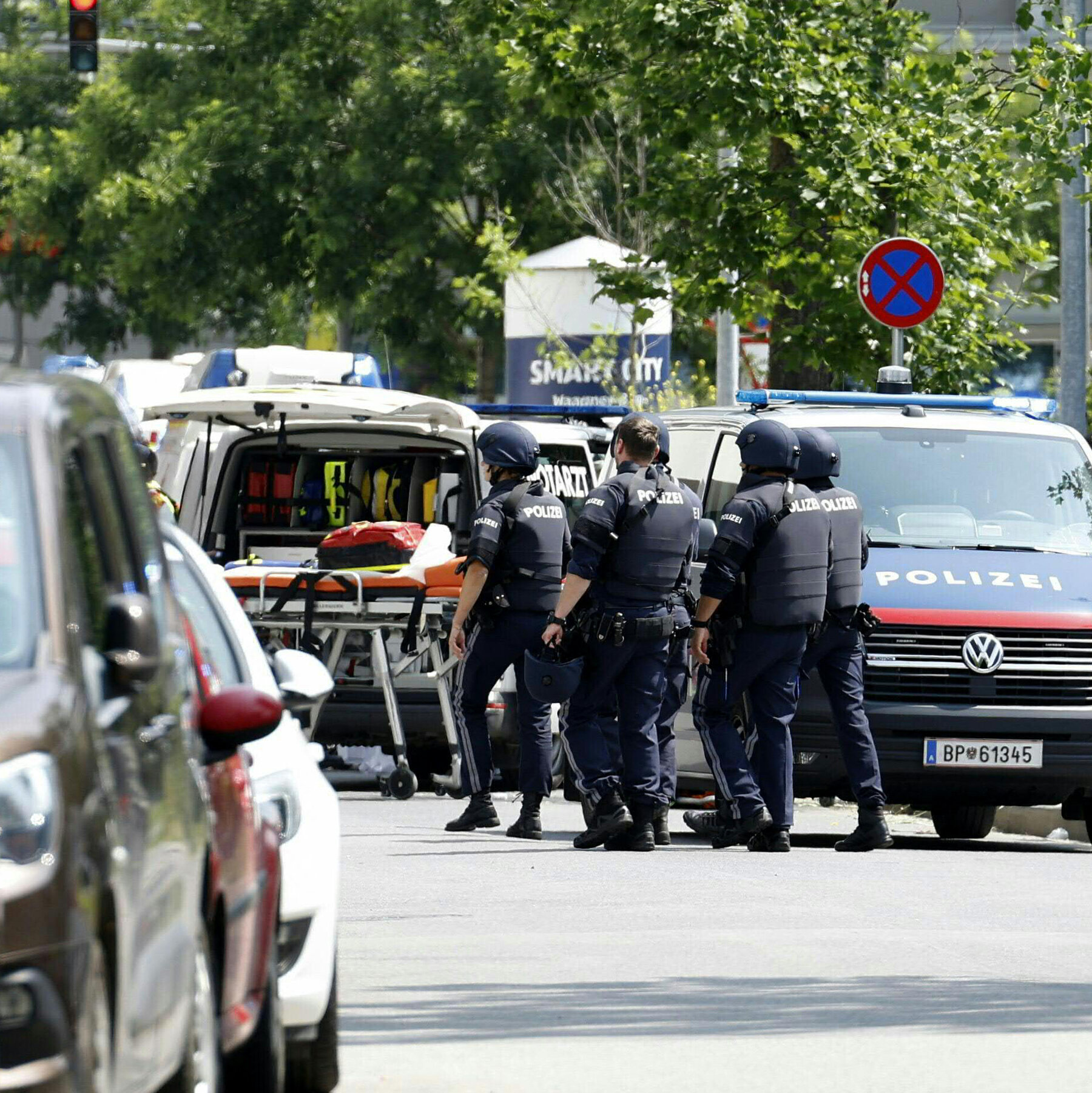 At Least 10 Dead After Austria School Shooting Police Say