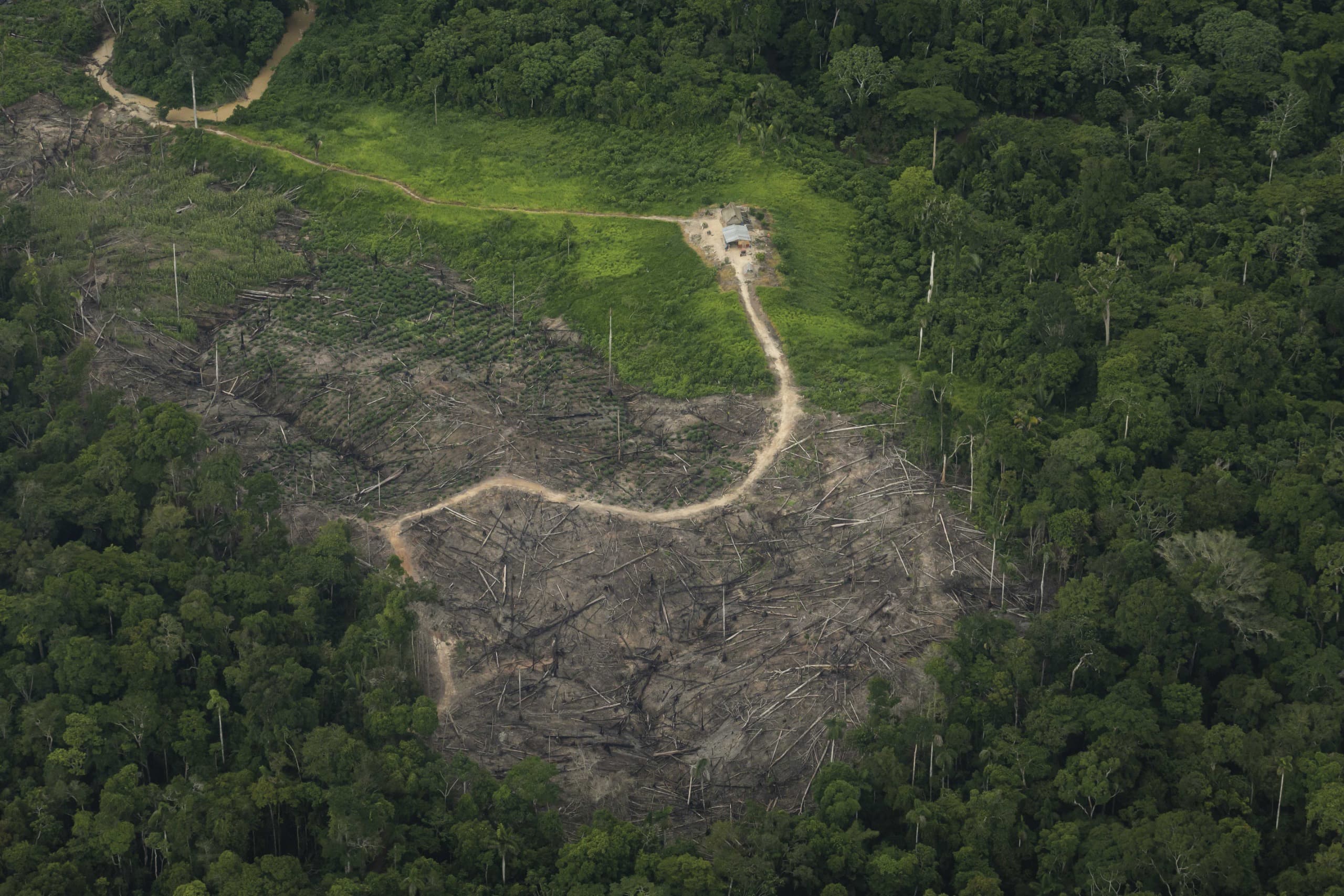 Deforestacion En Amazonia Peruana Zonas Criticas Suman Mas Del 70 Y Acumulan 600 Mil Hectareas Perdidas