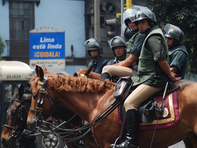 Policia Montada Entre La Eficacia Operativa Y El Debate Ciudadano