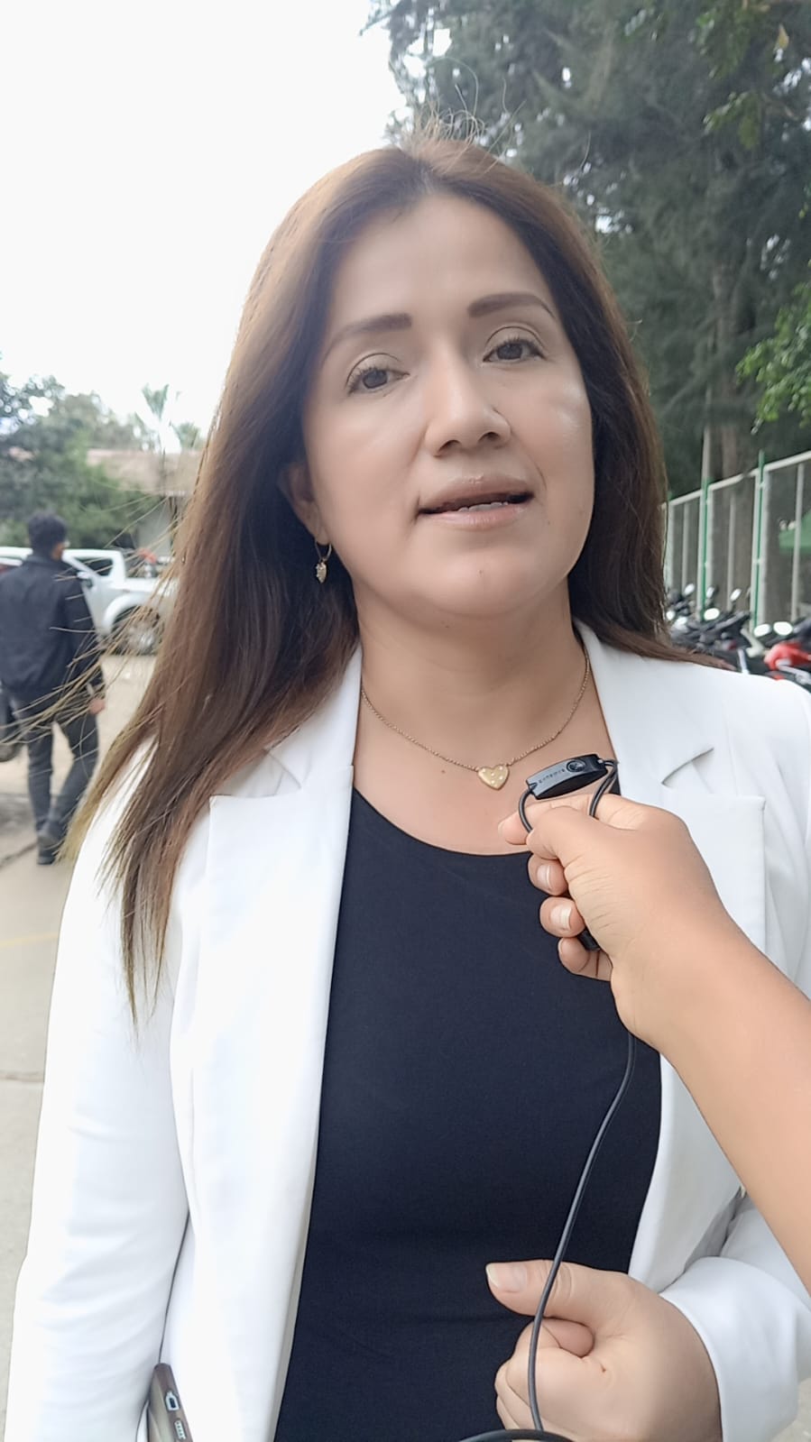 Sherly Morales El Concejo Solo Tramita Quien Define La Vacancia Es El Jurado Nacional