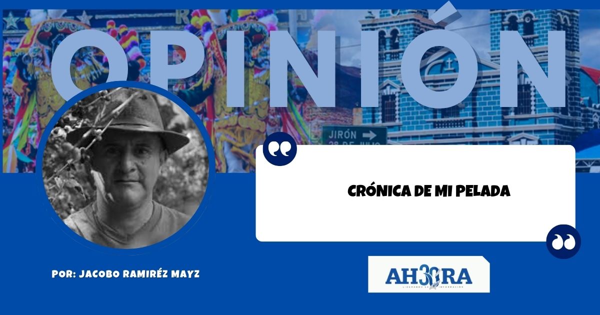 Cronica De Mi Pelada