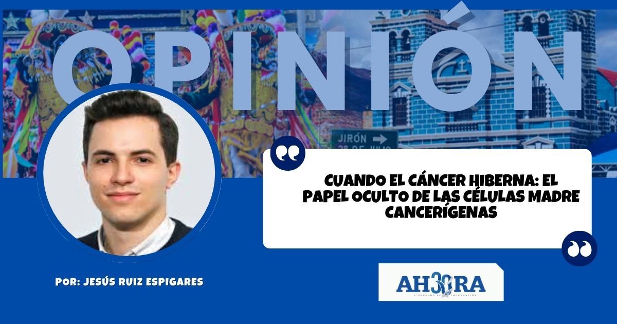 Cuando El Cancer Hiberna El Papel Oculto De Las Celulas Madre Cancerigenas