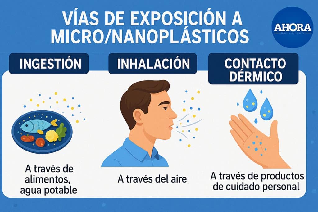 La propia observación de Campen lo resume en una imagen potente: habría en el planeta una tonelada de plástico por cada ser humano
